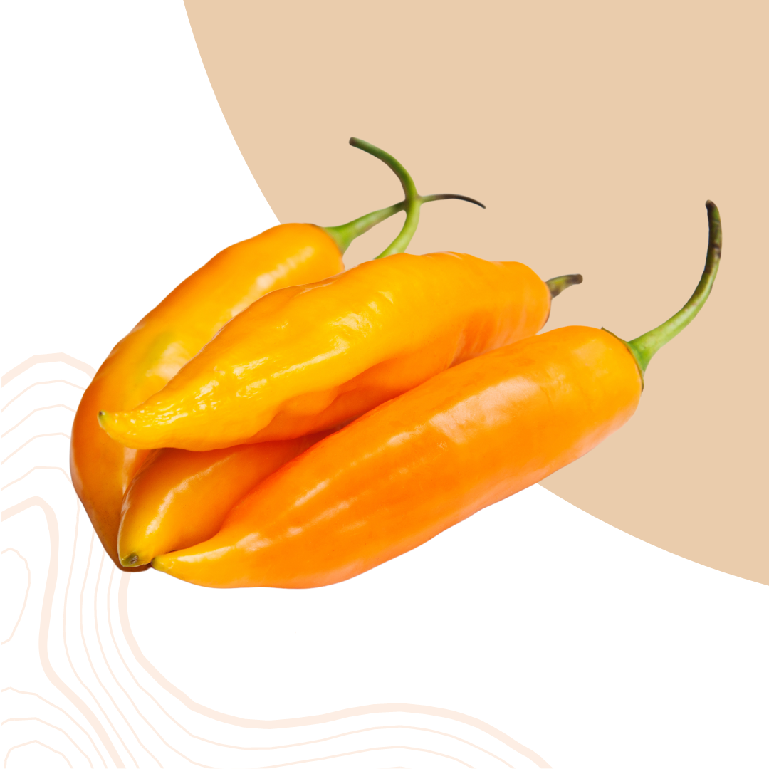 AJI AMARILLO : Du fruit et un piquant accessible!