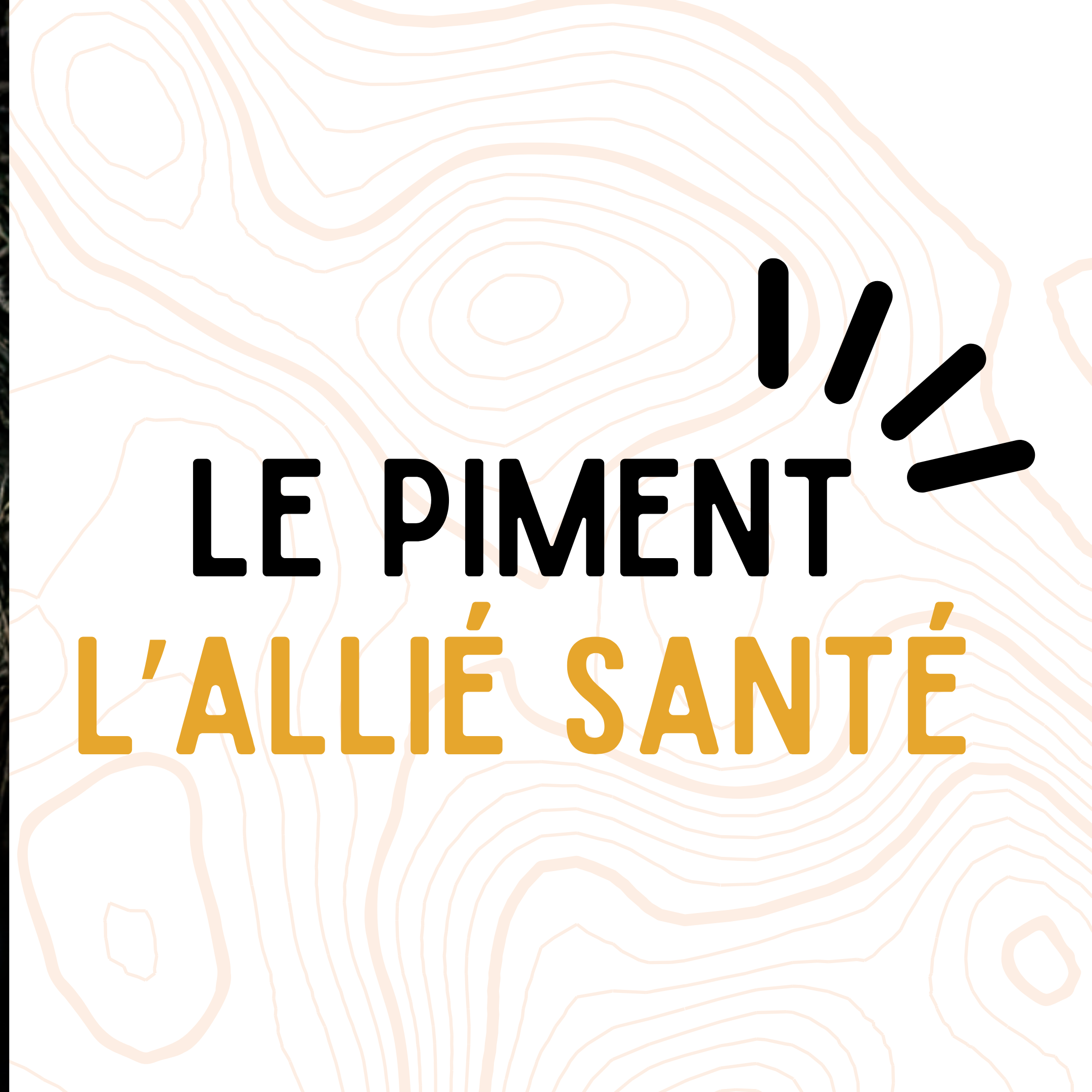 Un petit fruit aux grands pouvoirs