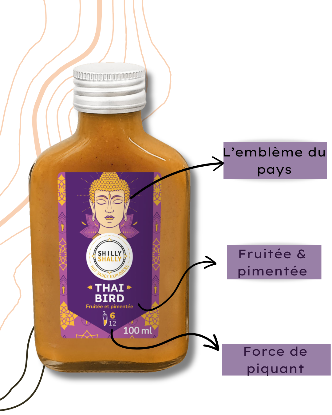 Nos bouteilles uniques ✨