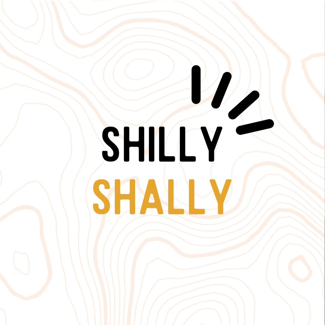 SHILLY SHALLY ?