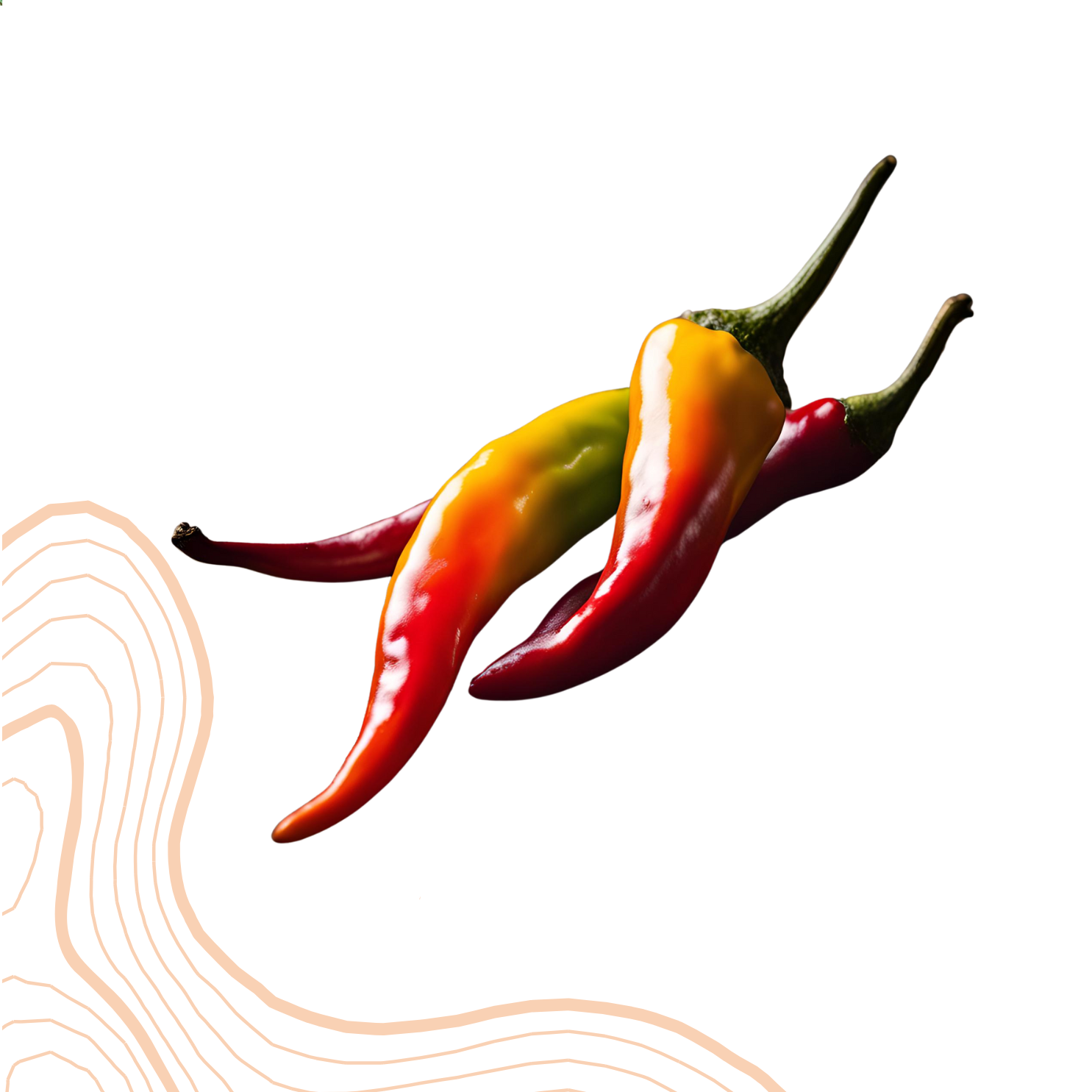 Toutes les couleurs du piment