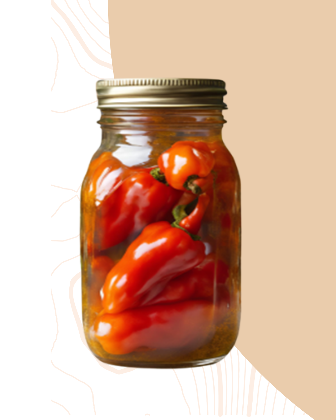 L'art de la lacto-fermentation